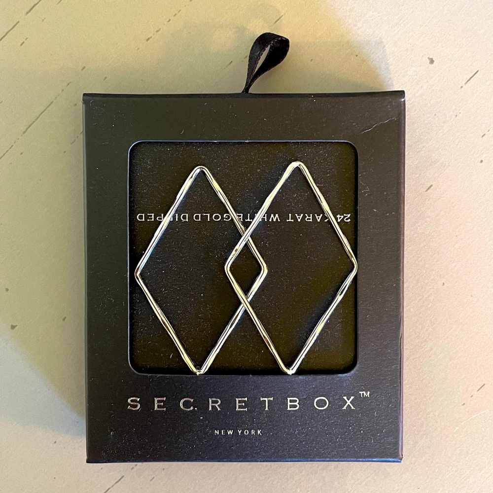 Earrings (NIB)
